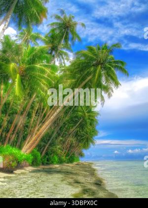 Tropischer Strand, umgeben von lehnenden Palmen, ruhigem türkisfarbenem Wasser und einem bewölkten Himmel Stockfoto