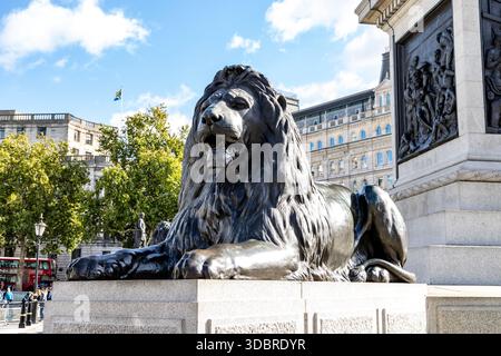 London Trafalgar Square einer der vier Bronze-Gusseisen, die Sir Edwin Landseer am Fuß der Nelsons Column entwarf, symbolisieren die Lions das britische Heldentum Stockfoto