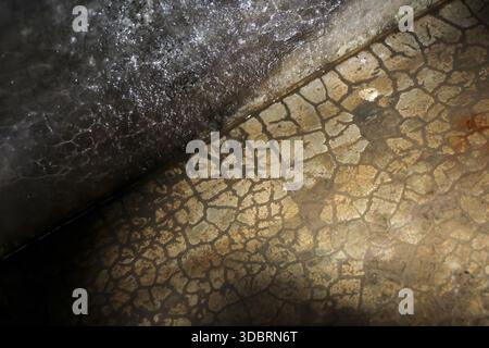 Abstrakter, gerissener Texturhintergrund mit trockenem, rauem Oberflächenmuster mit dunklem, grungy Hintergrund und verwittertem Vintage-Design für grafische Tapeten Stockfoto