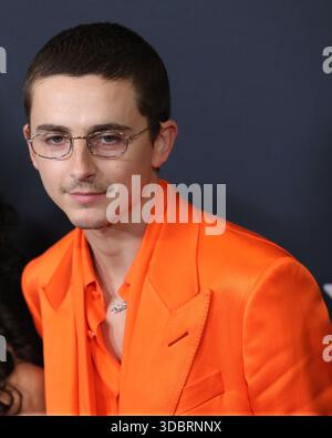 New York, New York, USA. Dezember 2025. TImothee Chalamet besucht die Premiere von „Marty Supreme“ am Regal Times Square in New York. Quelle: Greg Allen/Alamy Live News. Stockfoto