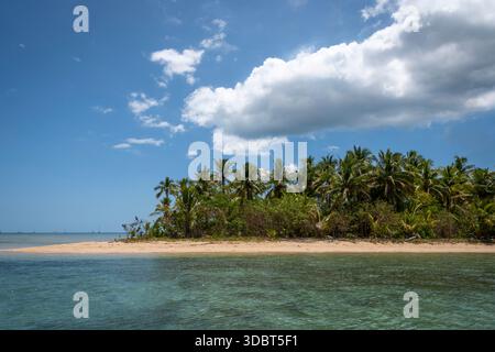 Kokosnussplantage und Strand, Malolo Island, Mamanuca Inseln, Fidschi, Ozeanien Stockfoto