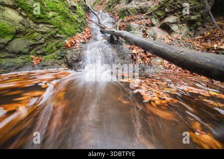 Der Blick auf einen umgestürzten Baumstamm teilt einen Wasserfall, umgeben von lebhaften Herbstblättern, Kremnicke vrchy, Turovska roklina, Banska Bystrica reg Stockfoto