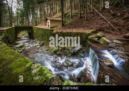 Ein friedlicher Fluss mit einem kleinen Wasserfall, der in den weltlichen Wald von Vallombrosa fließt. Eine kleine Kapelle steht am bewaldeten Flussufer. Provinz Florenz, Stockfoto