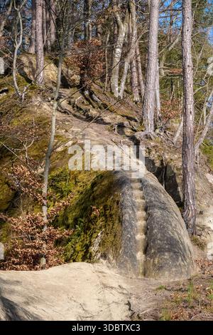 Gemeißelte Felsstufen auf einem moosigen Sandsteinhang in einem sonnendurchfluteten Schweizer Wald in der Nähe von Bern Stockfoto