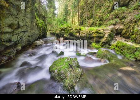 Blick auf rauschendes Wasser fließt über moosbedeckte Felsen durch eine Waldschlucht, das Sonnenlicht sprudelt durch das grüne Baldachin in Hybicka Tiesnava, Zilinsky kraj, Stockfoto