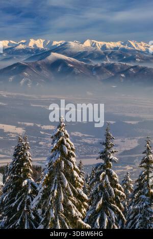 Blick auf schneebedeckte Kiefern Wache vor der Kulisse majestätischer, schneebedeckter Berge unter einem klaren azurblauen Himmel, Dlha Luka, Zilina Region, Stockfoto
