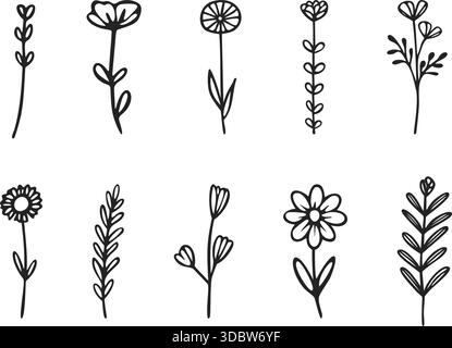 Satz von Hand gezeichneten einzelnen Wildblumen Vektor-Illustrationen Stock Vektor