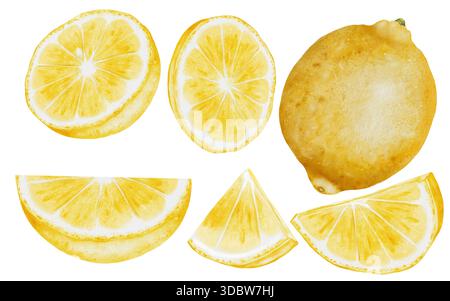 Großes Set mit Zitronenaquarell. Handgezeichnete tropische Sauerfrüchte. Clip-Art aus saftiger gelber Limette. Zitrusfrüchte auf isoliertem weißem Hintergrund. Ideal für Logo und Stockfoto