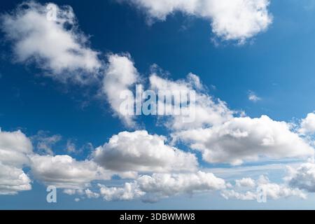 Ein leuchtend blauer Himmel voller geschwollener weißer Wolken, perfekt, um jedem Projekt Gelassenheit zu verleihen. Ideal für Hintergründe, Designelemente oder kreative Ressourcen, die Aufmerksamkeit auf sich ziehen. Stockfoto