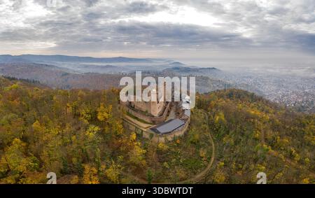 Blick aus der Vogelperspektive auf das mittelalterliche Schloss Auerbach, das stolz zwischen den herbstlichen Golden und Grünflächen steht, mit einer nebeligen Stadt darunter, Bensheim, HES Stockfoto