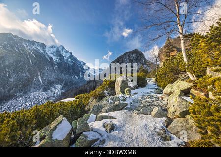 Ein malerischer Bergpfad schlängelt sich durch felsiges Gelände und bietet einen Panoramablick auf schneebedeckte Gipfel unter einem hellen, teilweise bewölkten Himmel. Hohe Tatra Nati Stockfoto