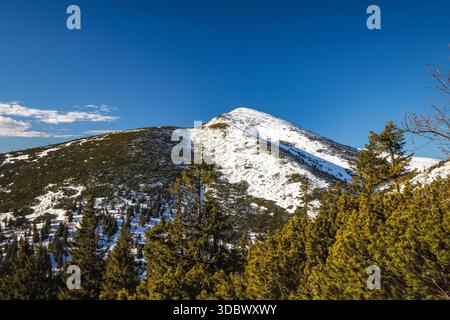 Schneebedeckter Berggipfel unter einem klaren blauen Himmel. Der Velky Krivan Gipfel im Nationalpark Mala Fatra, Slowakei, Europa. Stockfoto