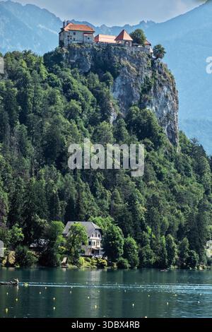 Schloss Bled thront auf einer dramatischen Klippe über dem Bleder See, Slowenien, mit bewaldeten Hängen und ruhigen alpinen Gewässern darunter. Stockfoto