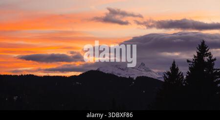 Dramatischer alpiner Sonnenuntergang mit Silhouetten Wald und entferntem Schneegipfel Stockfoto