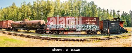 Panoramablick verlassene kanadische, pazifische Eisenbahnwaggons mit Graffiti auf rostigen Wegen in der Nähe von bewaldeten Gebieten, umgeben von hohen Bäumen und Gras Stockfoto
