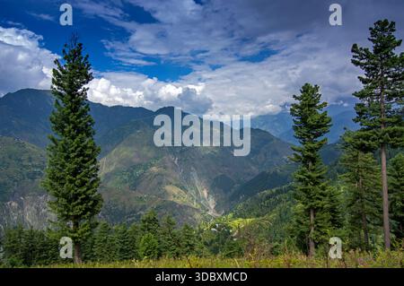 Der Blick auf die majestätischen grünen Kiefern umrahmt einen atemberaubenden blick auf die geschichteten Berge unter einem dynamischen Himmel und zeigt die große Schönheit der Natur, Sri Paye, Khyber Stockfoto