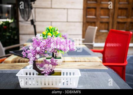 Pinker Bonsaibaum neben einem Zitronenbaum auf einem Tisch in einem Straßencafé in Malta Stockfoto