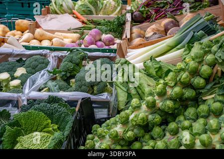Auswahl an farbenfrohem frischem Gemüse auf einem Marktstand in Ryde auf der isle of wight, Großbritannien Stockfoto