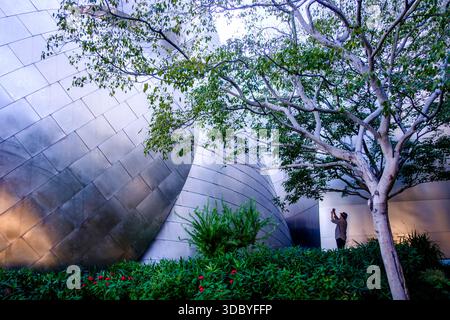 Walt Disney Concert Hall, Los Angeles, California, Vereinigte Staaten von Amerika Stockfoto