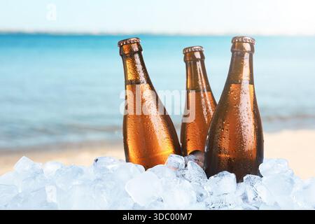 Flaschen Bier in Eis in der Nähe des Meeres. Erfrischendes Sommergetränk Stockfoto