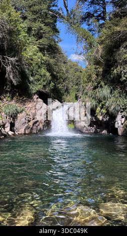 Der Wasserfall mit kristallklarem Wasser fließt sanft in die Lagune Laguna de los Patos in der chilenischen Maule-Region. Umgeben von einheimischen Wäldern. Stockfoto