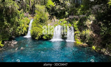 Ein spektakulärer Blick auf die Wasserfälle Ojos del Caburgua. Die intensive blaue Farbe bildet einen lebhaften Kontrast zum üppig grünen Wald Stockfoto