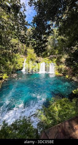 Ein spektakulärer Blick auf die Wasserfälle Ojos del Caburgua. Die intensive blaue Farbe bildet einen lebhaften Kontrast zum üppig grünen Wald Stockfoto