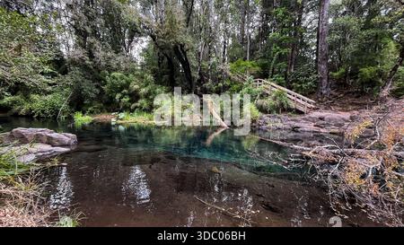 Malerische blaue Lagune Laguna Azul in Ojos del Caburgua, mit blauem Wasser umgeben von üppigem Wald und reflektierendem Grün. Natürliche Landschaft. Stockfoto