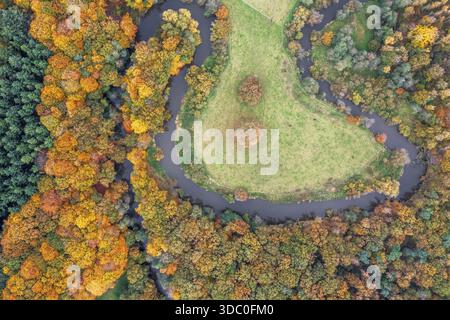 Der Fluss Hunte, der eine grüne Insel mit herbstfarbenen Bäumen umgibt, aus der Luft gesehen, Drohnenaufnahme, vertikale Luftaufnahme, Doetlingen, Wildesha Stockfoto