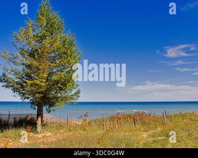 Sandbreak-Zaun an der Spitze der Dünen am Lake Huron in Michigan Stockfoto