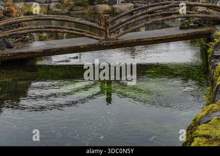 Kleine rustikale Holzbrücke über einen ruhigen und klaren Fluss, Tokio, Fuji, Japan Stockfoto