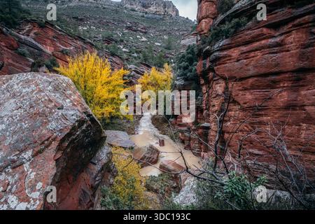 Red Rock Cliffs of Penas Royas mit Herbstbäumen und Martin River Stockfoto