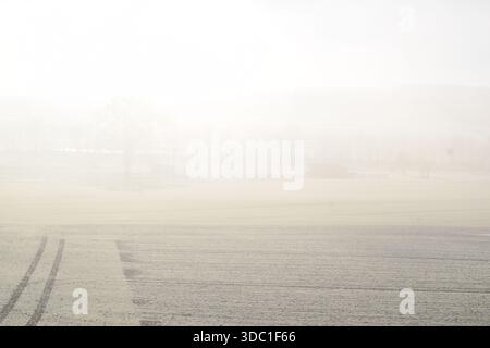 Neuschnee auf den Feldern mit Nebel darüber Stockfoto