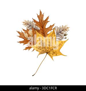 Aquarellillustration eines Herbststraußes mit Eichen- und Ahornblättern, getrockneten metasequoia-Zweigen und Samen auf weiß. Handbemalter botanischer Stil Stockfoto