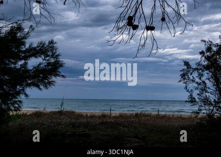 Stürmische Wolken sammeln sich über der ruhigen Adria, eingerahmt von dunklen Ästen und Vegetation an einem einsamen Strand Stockfoto