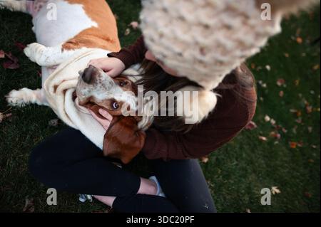Warmer Blick vom Basset-Hund, der in Mädchen im Gras liegt Stockfoto