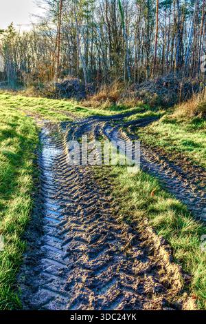 Schlammige Traktorreifen - Zentralfrankreich. Stockfoto