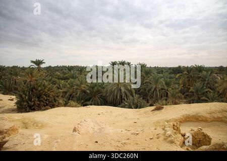 Ein allgemeiner Blick auf den Berg der Toten und die Gräber in Siwa Oasis, Marsa Matrouh Governorate, Ägypten, am 13. Dezember 2025. Dieser Friedhof ist der Hauptfriedhof des antiken Siwa während der Ära der Pharaonen, der Griechen und der Römer. Es enthält Hunderte von Gräbern, die in die Felsen gehauen sind; vier Gräber behalten ihre Farben. (Foto: Doaa Adel/NurPhoto)0 Stockfoto