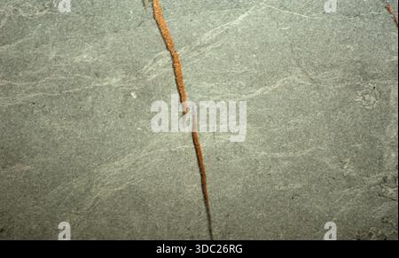 Grauer Sandstein mit großen goldenen Adern, Natursteinmuster in Nahaufnahme. Hintergrund, Textur, nahtlos. Stockfoto