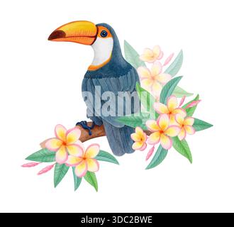 Tropischer toco-Tukan auf blühendem Zweig, Aquarell isolierte Illustration. Tropischer Vogel Clipart für Textildrucke und Kindermotive Stockfoto