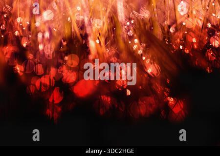 Abstrakte rote, unscharfe Lichter auf schwarzem Hintergrund Stockfoto