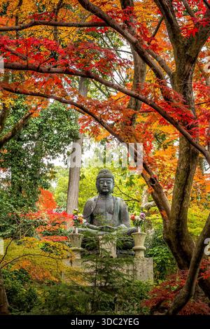Buddha-Statue in einem Wald im Herbst in Kyoto Stockfoto
