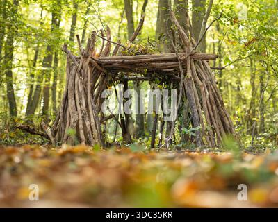 Eine Holzhütte in einem Wald. Stockfoto