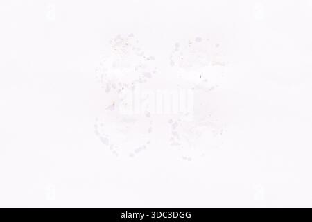 Schwache Kaffeetassen auf weißem Hintergrund für kreative und abstrakte Kunstprojekte. Stockfoto