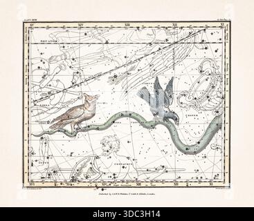 Antike Himmelskarte Illustration mit mythologischen Sternbildern und Sternkarten aus einem Astronomiebuch aus dem frühen 19. Jahrhundert, veröffentlicht in London in Stockfoto