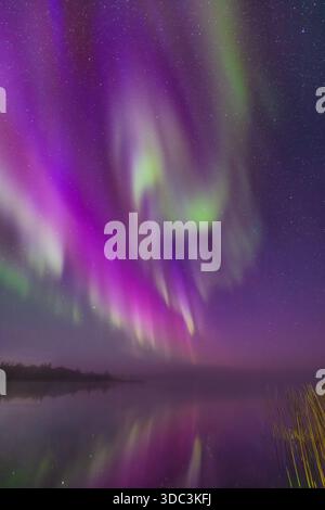 Yellowknife, Kanada - 23. September 2025: Nordlichter mit einem See im Hintergrund Stockfoto