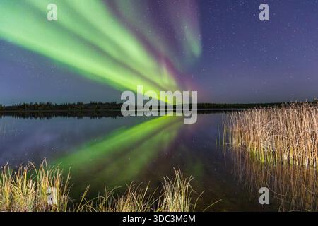 Yellowknife, Kanada - 23. September 2025: Nordlichter mit einem See im Hintergrund Stockfoto