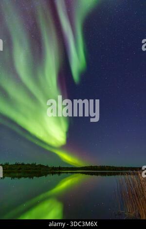 Yellowknife, Kanada - 23. September 2025: Nordlichter mit einem See im Hintergrund Stockfoto