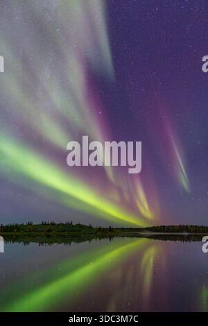 Yellowknife, Kanada - 23. September 2025: Nordlichter mit einem See im Hintergrund Stockfoto