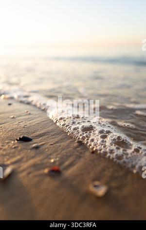 Sanftes goldenes Sonnenlicht beleuchtet sanfte Meereswellen, die über das Sandufer ziehen und friedliche Strandstrukturen und kleine Muscheln in einem ruhigen Küstenabschnitt einfangen Stockfoto